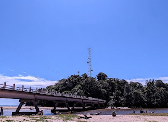 madagascar/atsinanana