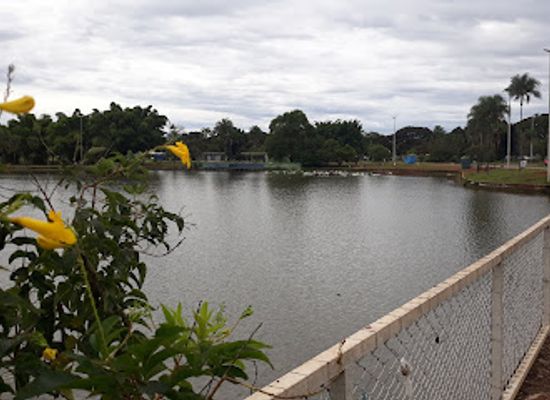 brazil/pampas