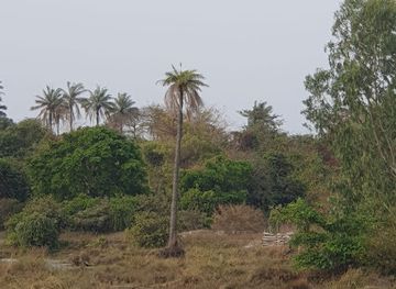 the-gambia/kiang-east-national-park