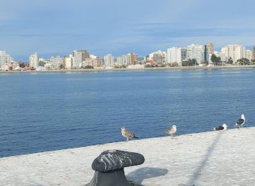 argentina/puerto-madryn