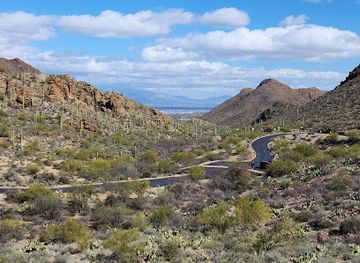 arizona/tucson-mountain-park