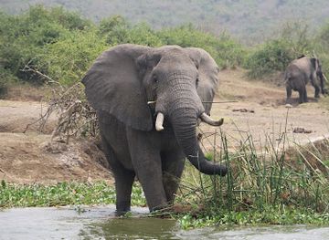 uganda/queen-elizabeth-national-park