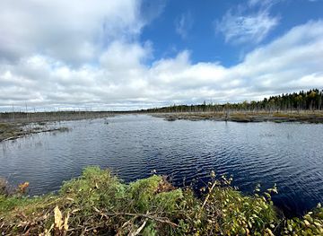 minnesota/superior-national-forest