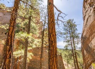 new-mexico/santa-fe-national-forest