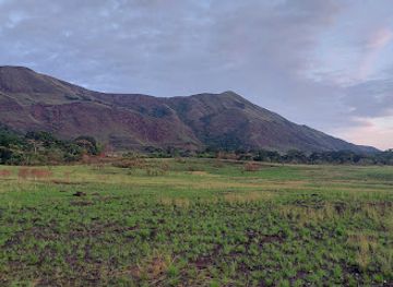 cote-d-ivoire/mount-nimba-strict-nature-reserve