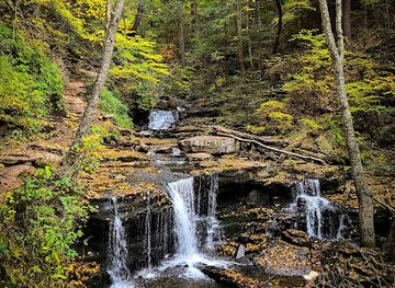 pennsylvania/ricketts-glen-state-park
