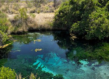 nevada/ash-meadows-national-wildlife-refuge