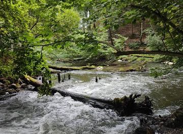 poland/drawa-national-park
