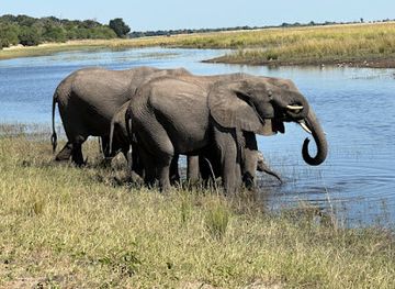 botswana/chobe-national-park