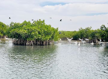 senegal/sine-saloum-delta