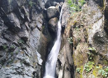 armenia/shikahogh-state-reserve