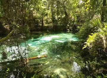 florida/juniper-springs-recreation-area