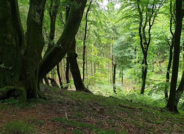 denmark/rold-skov