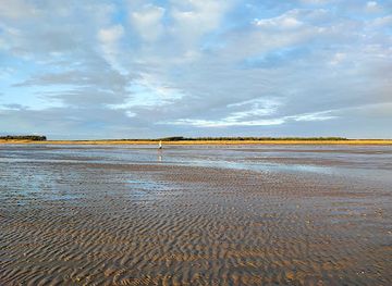 denmark/wadden-sea-national-park