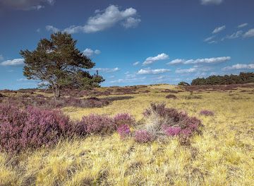 netherlands/veluwe-national-park