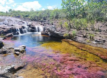 colombia/cano-cristales