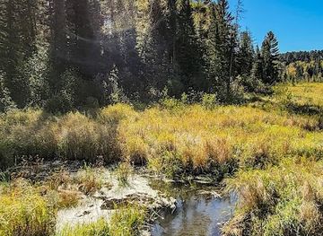 minnesota/mississippi-river