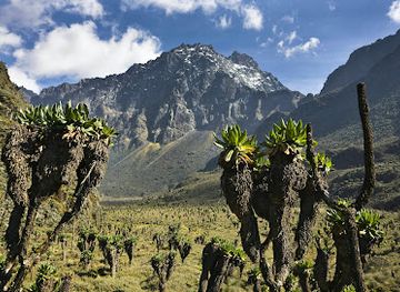 uganda/mount-elgon-national-park