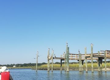 south-carolina/folly-beach