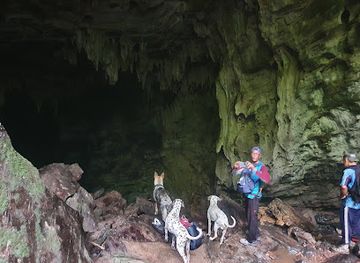 trinidad-and-tobago/aripo-caves