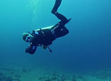 israel/red-sea-coral-reef