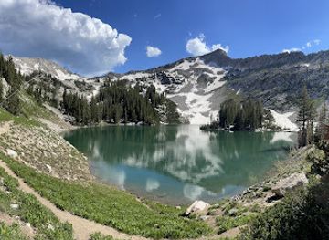 utah/uinta-wasatch-cache-national-forest