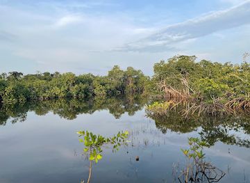 gabon/akanda-national-park