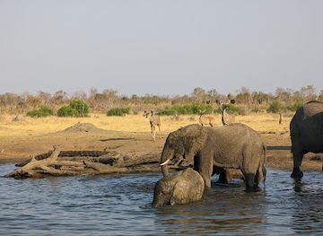 zimbabwe/hwange-national-park