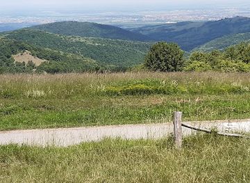 serbia/fruska-gora-national-park