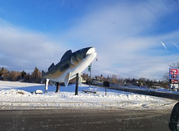 minnesota/lake-of-the-woods