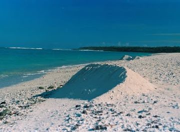 tonga/kao-island