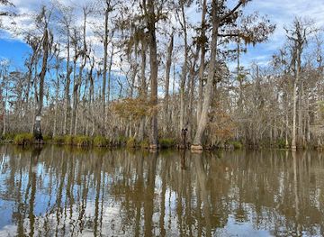 louisiana/pearl-river-wildlife-management-area