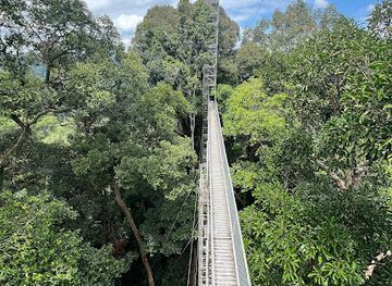 brunei/belalong-canopy-walkway