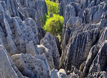 madagascar/tsingy-de-bemaraha-national-park