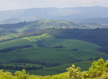 burundi/kibira-national-park