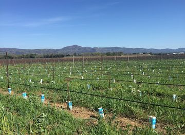 california/napa-valley