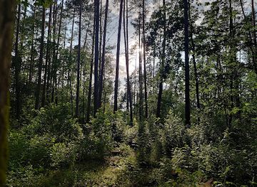 poland/bory-tucholskie