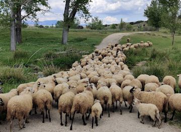 spain/camino-de-santiago