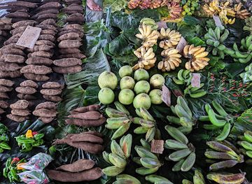 solomon-islands/gizo-island