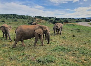 south-africa/addo-elephant-national-park