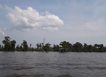 louisiana/lake-maurepas