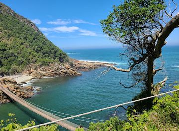 south-africa/tsitsikamma-national-park