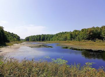 poland/białowieża-forest