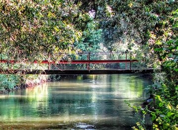israel/galilee-region