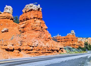 utah/dixie-national-forest