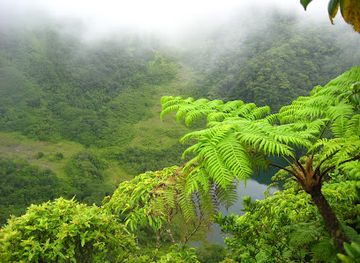 saint-kitts-and-nevis/mount-liamuiga