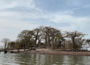 the-gambia/kunta-kinteh-island