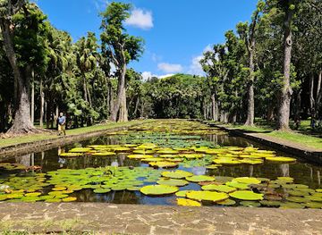 mauritius/pamplemousses-botanical-garden