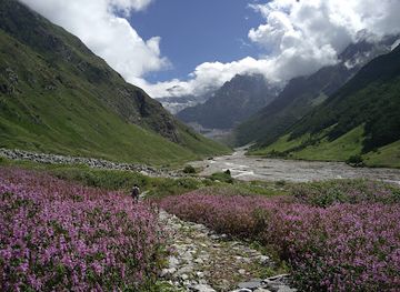 india/valley-of-flowers-national-park