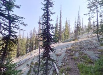 montana/bitterroot-national-forest